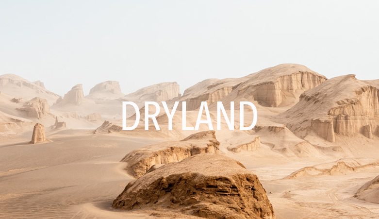 dryland edouard sepulchre inframe in frame interview maroc morocco landscape desert documentary photography contemporary