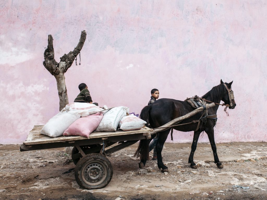 in frame inframe maroc morocco