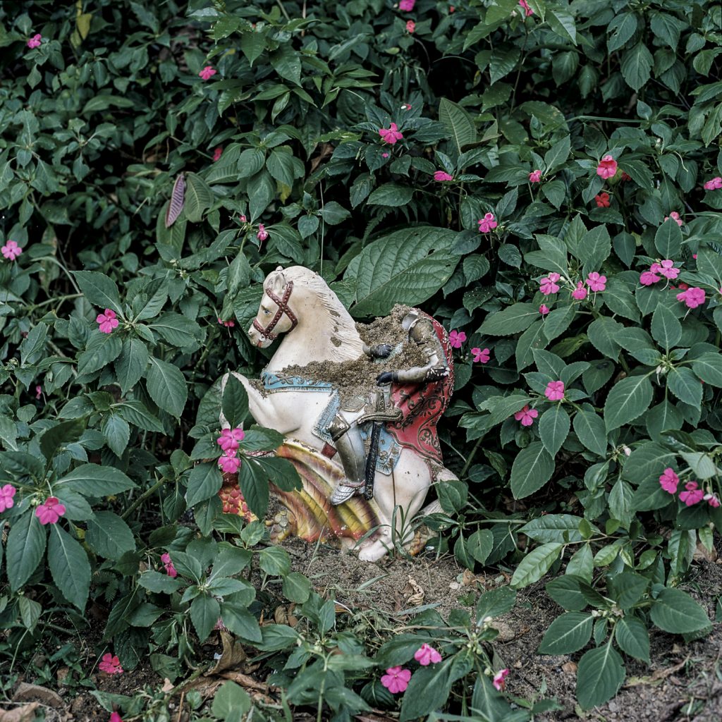 Andrea Eichenberger in frame andrea documentary brazil