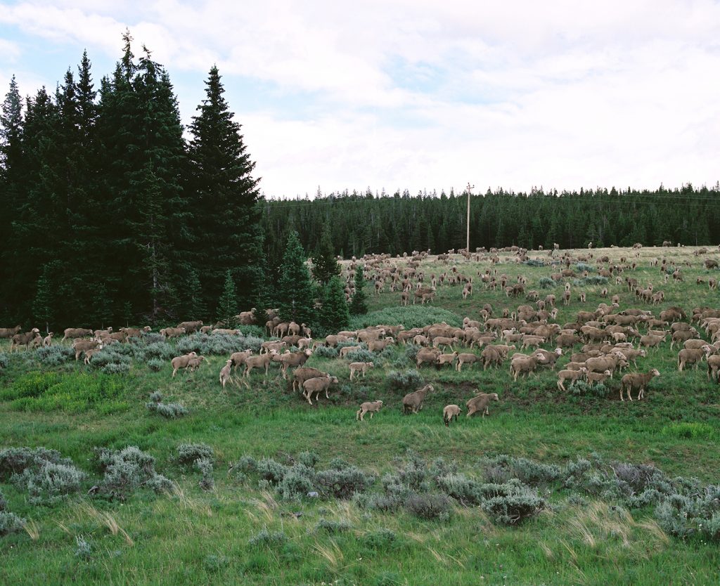 inframe in frame desriaux usa conquest america united states of america documentary photography