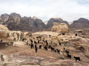 dryland edouard sepulchre inframe in frame interview maroc morocco landscape desert documentary photography contemporary