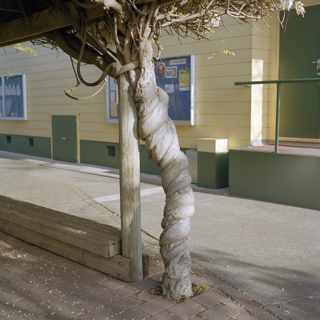 inframe in frame jack mein new zeland nz analog camera medium format skate youth