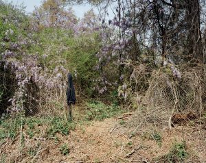 inframe in frame documentary photography usa america interstate joshua dudley greer road trip interview new topographic