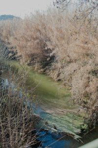 apache palace serie photo documentaire contemporary photographic analog nikon canon in frame inframe elise boularan interview nature element