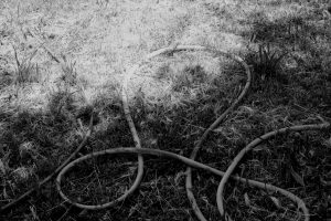 apache palace serie photo documentaire contemporary photographic analog nikon canon in frame inframe elise boularan interview nature element