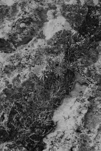 apache palace serie photo documentaire contemporary photographic analog nikon canon in frame inframe elise boularan interview nature element