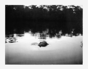 in frame inframe jen ervin usa photography polaroid land camera north carolina youth summer daughter black and white documentary portrait family history places america