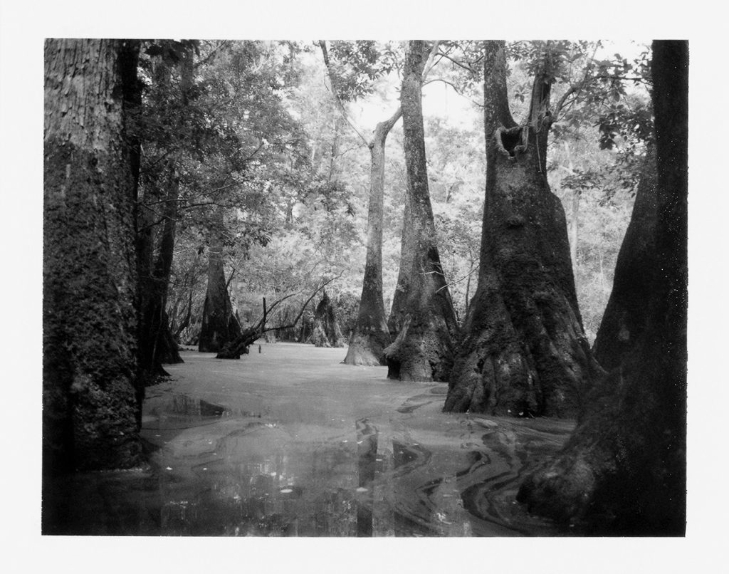 in frame inframe jen ervin usa photography polaroid land camera north carolina youth summer daughter black and white documentary portrait family history places america