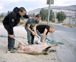 in frame israel valentine vermeil tradition gathering religious living together documentary photography middle east
