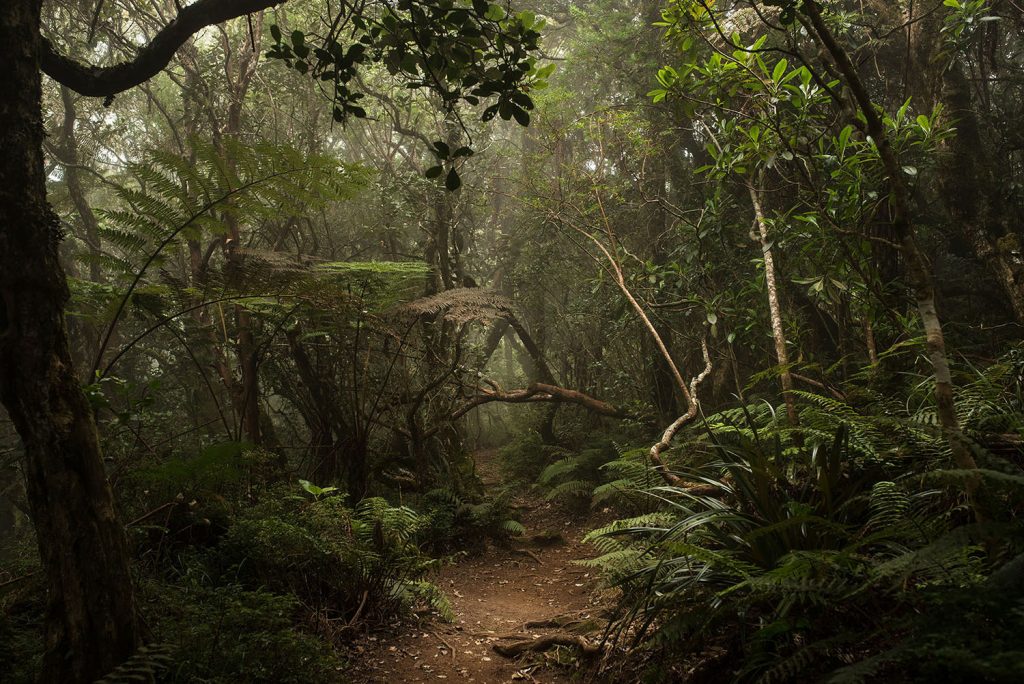 in frame inframe documentary documentaire photo antimemoires ile de la réunion famille family youth identity paysages kalel koven valentine zeler webzine media contemporary photography