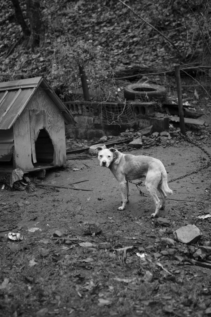 in frame louise honée hsbc 2020 prize photography documentary contemporary we love where we live west virginia appalachian usa mcdowell county youth kalel koven valentine zeler interview article magazine process project long term