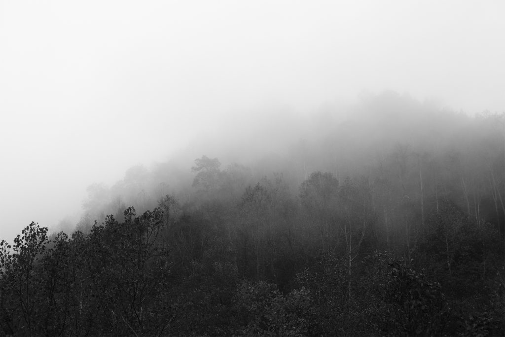 in frame louise honée hsbc 2020 prize photography documentary contemporary we love where we live west virginia appalachian usa mcdowell county youth kalel koven valentine zeler interview article magazine process project long term