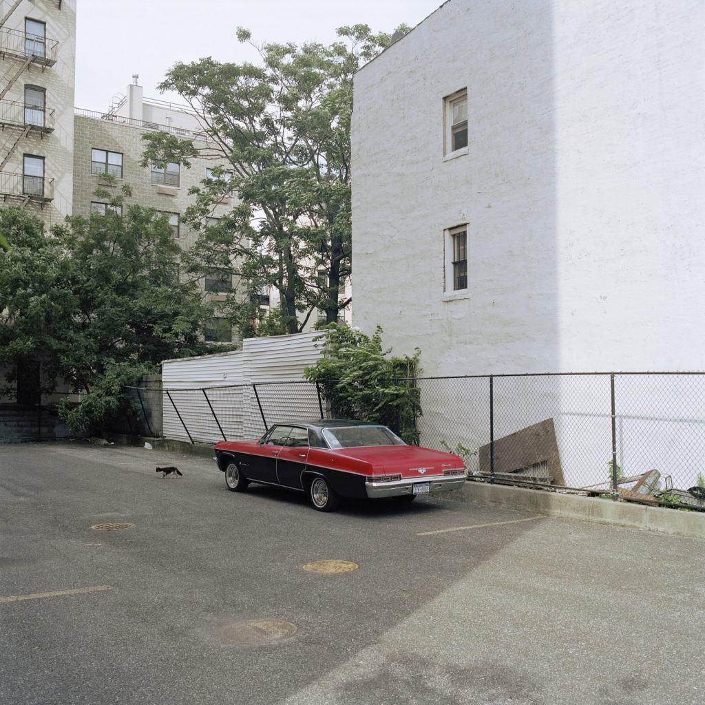 in frame harlem inframe new york city nyc newyork usa louise amelie aljaz fuis documentary photography kalel koven founder ceo photographer street portrait youth people new yorkers