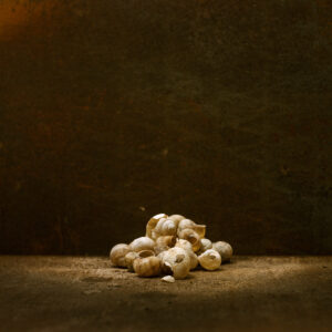 inframe in frame documentary photography france rural farm country photographe julien coquelin valentine zeler kalel koven influencer photo social environmental french book publisher