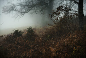 inframe in frame documentary photography france rural farm country photographe julien coquelin valentine zeler kalel koven influencer photo social environmental french book publisher