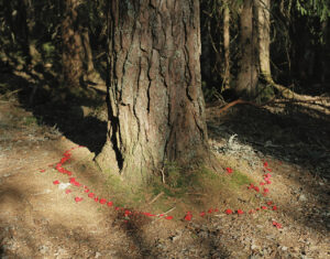 in frame awakening woman sweden swede elin berge photographer photography swedish interview documentary project long term story storytelling nature woman inframe kalel koven valentine zeler