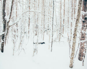 in frame inframe heartbeats juuso westerlund finish finlande finland scandinavian photographer photography photo documentary youth child children family famille portrait