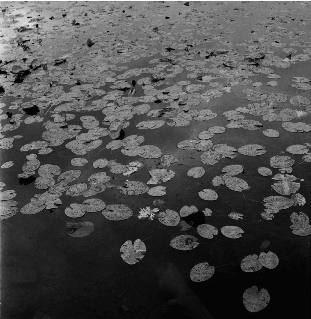 interview marjoleiin martinet riverland phonebook book stanley barker kalel koven inframe in frame documentary project photo photography france rivers river youth portrait landscape