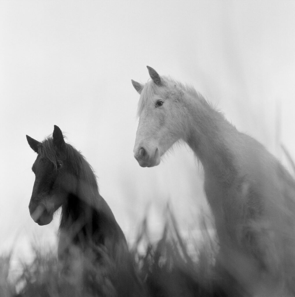 interview marjoleiin martinet riverland phonebook book stanley barker kalel koven inframe in frame documentary project photo photography france rivers river youth portrait landscape